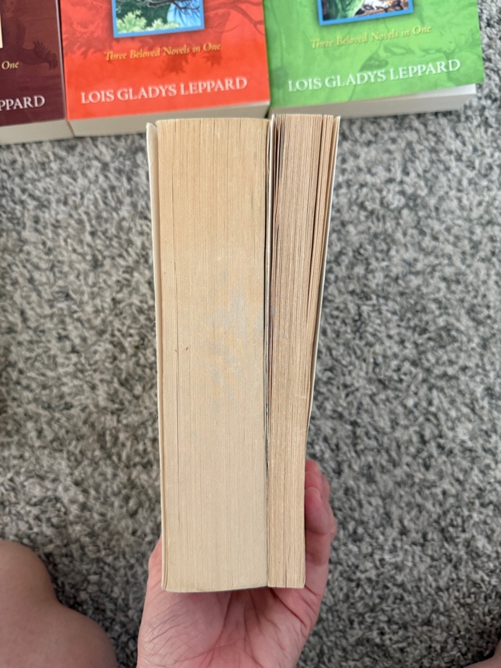 Mandie Collection Paperback Book Lot - 1-11+Mandie her college days - Picture 4 of 4